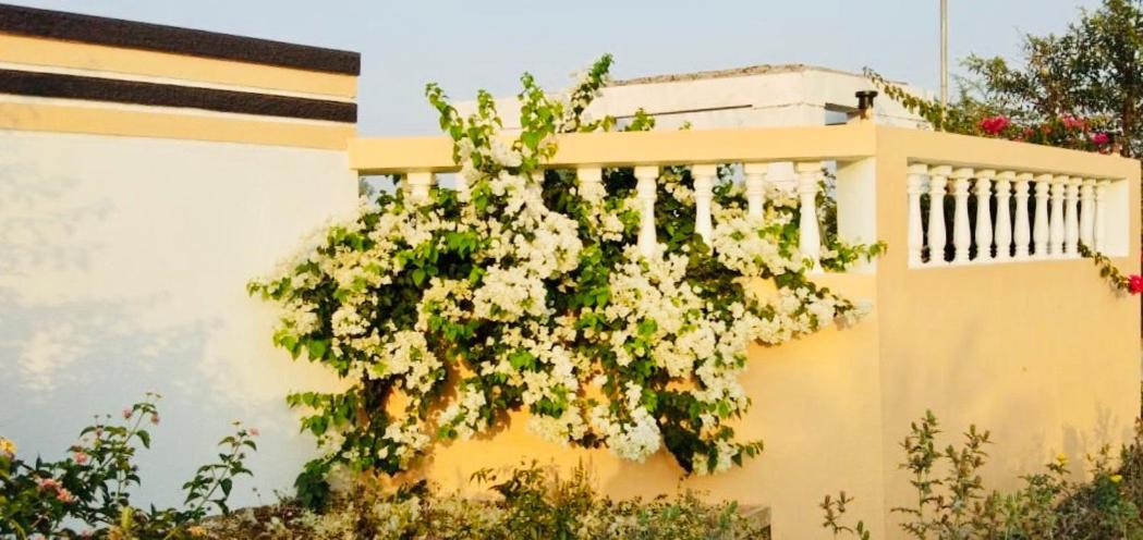 Royal Meadows - Igatpuri Bungalow B Экстерьер фото